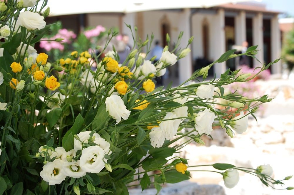 Hotel Masseria La Grande Quercia Mottola Exterior foto